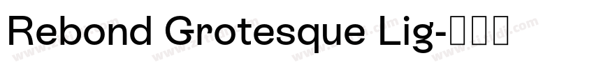 Rebond Grotesque Lig字体转换 Rebond Grotesque Lig字体转换